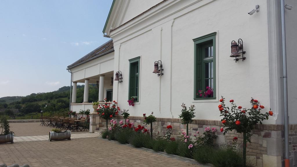 Szekszárd 塔克勒库里亚旅馆酒店 外观 照片